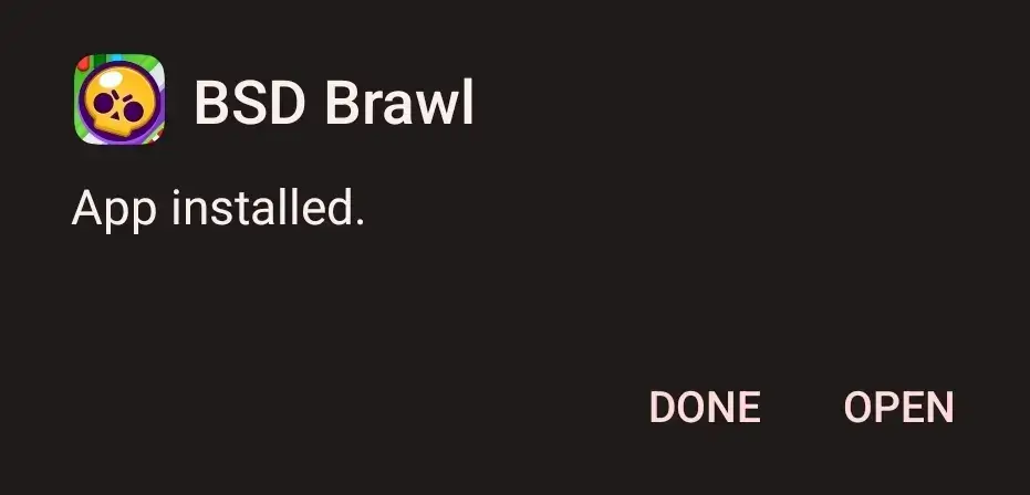 Step 3: Confirm the installation and open the app